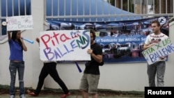 Các nhà hoạt động biểu tình bên ngoài nơi diễn ra cuộc họp của Hội đồng Cá Voi Quốc Tế tại Panama, ngày 4/7/2012