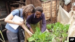 One of Nairobi’s urban farmers shows international agricultural researcher Danielle Nierenberg some of the crops she’s growing near her shack in Kibera slum