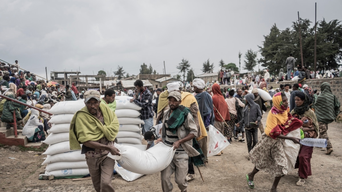 Fao: Food Loss, Waste Major Causes Of Global Hunger, Malnutrition