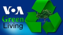 Pawai Perubahan Iklim-VOA Green Living