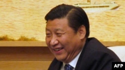 中国国家副主席习近平(资料照片)