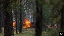 俄勒冈州佩斯利被"布勒格大火"破坏的树木附近的零星火点。(2021年7月22日)