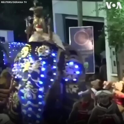 Voi giẫm đạp đám đông ở Sri Lanka