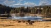 El Parque Nacional Yellowstone es el primero del mundo.