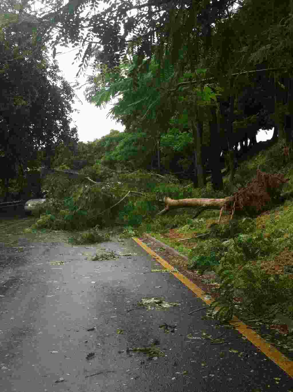 Imágenes de la situación en Puerto Rico tras el paso del huracán Irene.