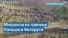 Анна Любакова: режим Лукашенко целенаправленно завозит людей из Ближнего Востока