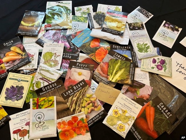 Damiano shows old seed packets at her Long Island, N.Y. home. Seeds may sprout past their expiration dates. So, it's a good idea to test them before using them or throwing them away, March 17, 2022. (Jessica Damiano via AP)