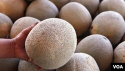 Funcionarios del gobierno han aislado un brote de listeria que surgió en una granja de melones cerca de Holly, Colorado.