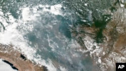 Foto citra satelit yang diabadikan NASA menunjukkan kebakaran hutan Amazon di Brazil, 20 Agustus 2019. 