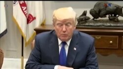 اخبار شامگاهی