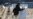 South Korea’s Moon Says 2015 ‘Comfort Women’ Agreement With Japan ‘Flawed’