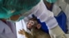 Thailand Enters Global Race for Vaccine With Trials on Monkeys 