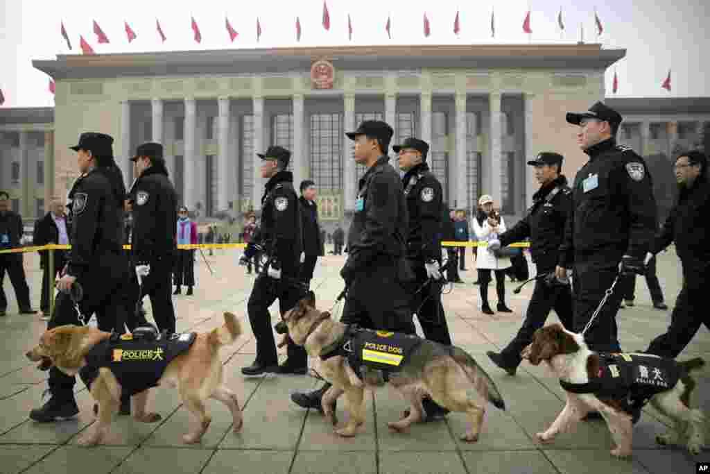 2018年3月3日，人民大会堂里举行中国政协大会开幕式，大会堂外警察带着警犬巡逻。