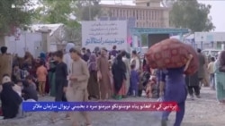  د افغان میرمنو د پناه غوښتنې په هکله برتانيې حکومت ته د بخښنې د نړیوال سازمان سپارښتنې 