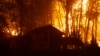 Cháy rừng ở bang Washington gây chết người 