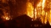 US Wildfires Turn Deadly 