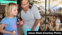 Farmer Ruth Mylroie watches a chicken laying an egg with a young visitor during a school tour of New Harmony Farm. This farm is known for its humane treatment of its chickens.