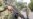 4 Killed in Clashes with Colombia Coca Growers, Eradicators