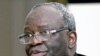 UNAMID's Gambari: Time to Push for Darfur Agreement