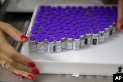 FILE - A health worker holds a tray with vials of the Pfizer vaccine for COVID-19 during a priority vaccination program at a community medical center in Sao Paulo, Brazil, May 6, 2021.