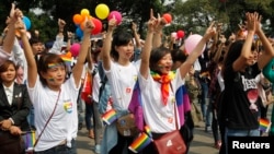 数百人在越南首都河内参加同性恋婚礼