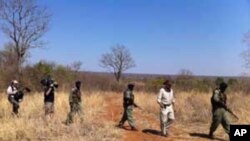 Some of Mander's rangers on patrol with an American television crew in a wildlife park in Zimbabwe.