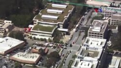 Զանգվածային հրաձգության դեպք Youtube ընկերության գրասենյակում