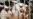 Kabul Protests After Iran Cages Afghan Detainees
