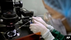 FILE - A researcher works with embryos at a lab in Shenzhen in southern China's Guandong province, Oct. 9, 2018. An expert committee Tuesday called for the U.N. health agency to create a global registry of scientists working on gene editing.