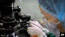 FILE - A researcher installs a fine glass pipette into a microscope in preparation for working with embryos at a lab in Shenzhen in southern China's Guandong province, Oct. 9, 2018. 