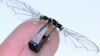 Robotic Fly Mimics Real Life Insect