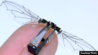 Best robotic insects technology New Arrivals