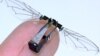 With a tiny carbon fiber body and wings made of thin plastic sheets, this robotic fly was inspired by the way real insects move. The wings are controlled by a minuscule flight muscle or ‘actuator’ that drives wing movement when a voltage is applied. (By the Wood lab)