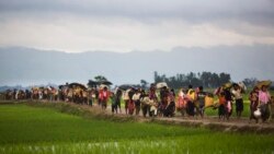 ရိုဟင်ဂျာအရေး မြန်မာအပေါ် အမေရိကန် ဆက်လက်ဖိအားပေးမည်