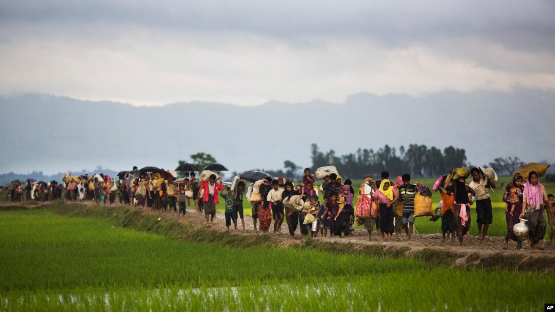 Tư liệu: Người tị nạn Rohingya băng qua các ruộng lúa sau khi vượt biên giới vào Bangladesh để tránh bạo lực. Ảnh chụp ngày 1/9/2017 (AP Photo/Bernat Armangue, File)