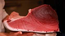 Potongan daging dari tuna seberat 211 kilogram laku terjual seharga US$145,290 dalam lelang yang dimenangkan oleh manajemen restoran Onodera Group di Tokyo, pada 5 Januari 2025. (Foto: Reuters/Issei Kato)