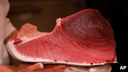 Potongan daging dari tuna seberat 211 kilogram laku terjual seharga US$145,290 dalam lelang yang dimenangkan oleh manajemen restoran Onodera Group di Tokyo, pada 5 Januari 2025. (Foto: Reuters/Issei Kato)