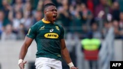 Le rugbyman sud-africain Aphiwe Dyantyi lors d'un match contre l'Australie, Afrique du Sud, le 29 septembre 2018. (Photo GIANLUIGI GUERCIA / AFP)