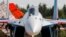 Sukhoi Su-35 savaş uçağı