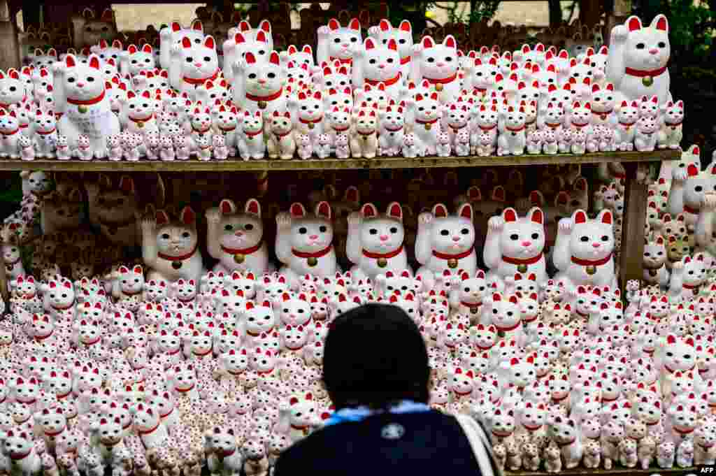 A visitor takes pictures of Maneki statues, also known as beckoning cat, at Gotokuji temple in Tokyo, Japan.