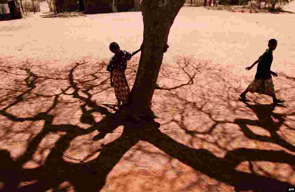 July 22: A boy stands next to a tree in the village of Barmil, where people wait for water because their wells are dry. Much of east Africa is going through a severe drought. REUTERS/Jakob Dall/Danish Red Cross/Handout