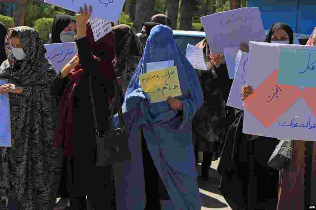 زنان شهر هرات در تجمعی در یکی از جاده‌های شهر هرات زنان را به اتحاد و همدلی دعوت کردند.