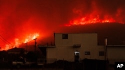 Požar u selu Avantas u Grčkoj (Foto: AP/Achilleas Chiras)