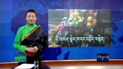 Cyber Tibet Feb 20, 2015