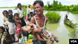 Rohingya