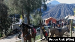 Sejumlah kuda tertambat siap mengantar pengunjung mengelilingi sejumlah obyek wisata di Gunung Bromo, Jawa Timur. (Foto: VOA/Petrus Riski)