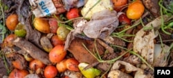 Bappenas yang menyebutkan Indonesia membuang 23-48 juta ton sampah makanan per tahun pada periode 2000-2019. (Foto: Courtesy/FAO)