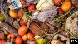 California dalam waktu dekat akan menggelar program wajib daur ulang makanan, untuk mengurangi emisi gas rumah kaca dari tempat pembuangan sampah. (Foto: ilustrasi).