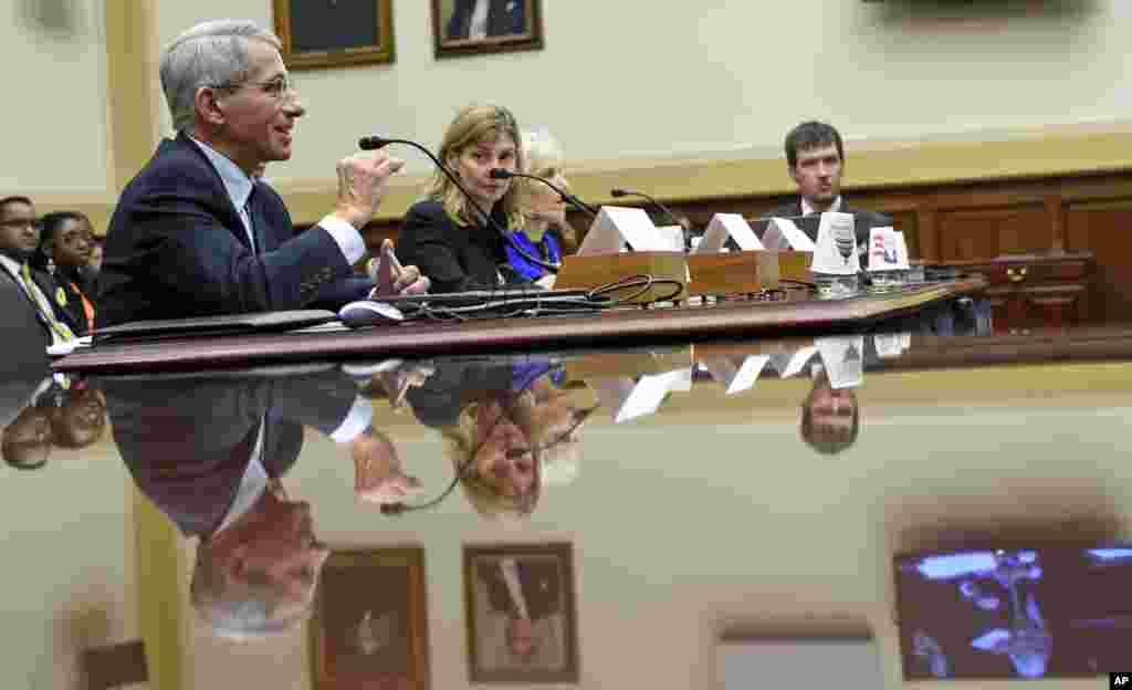 Dr. Anthony Fauci, left, the director of the National Institute of Allergy and Infectious Diseases, testifies before the subcommittee on Capitol Hill in Washington, Sept. 17, 2014.