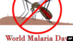 malaria Day